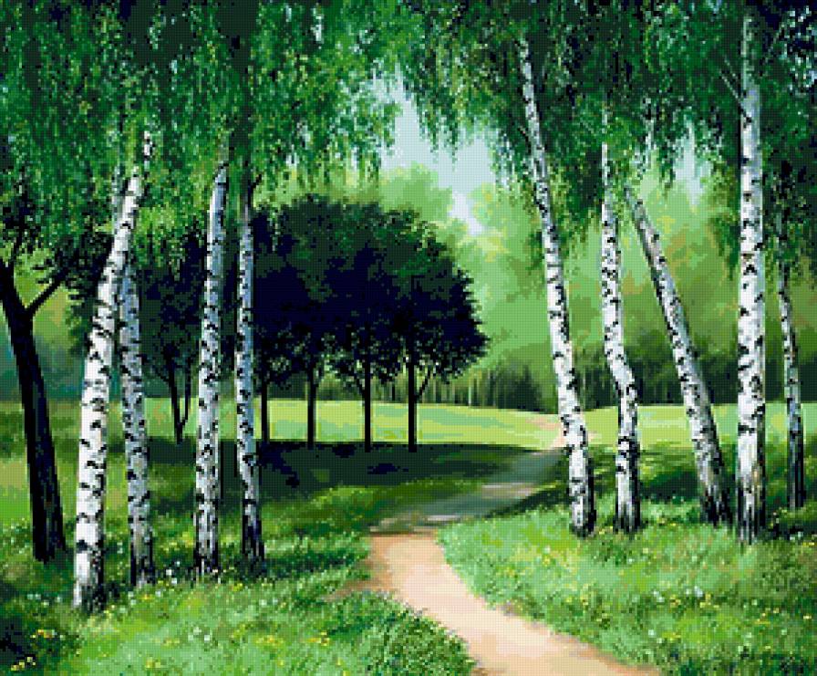 Берёзы у Лужайки - дорога, деревя, листья, трава, лужайка, березы, пейзаж - предпросмотр