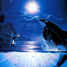 Схема вышивки «Дельфины Рай»