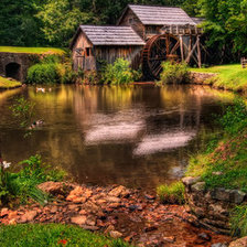 Схема вышивки «Природа»