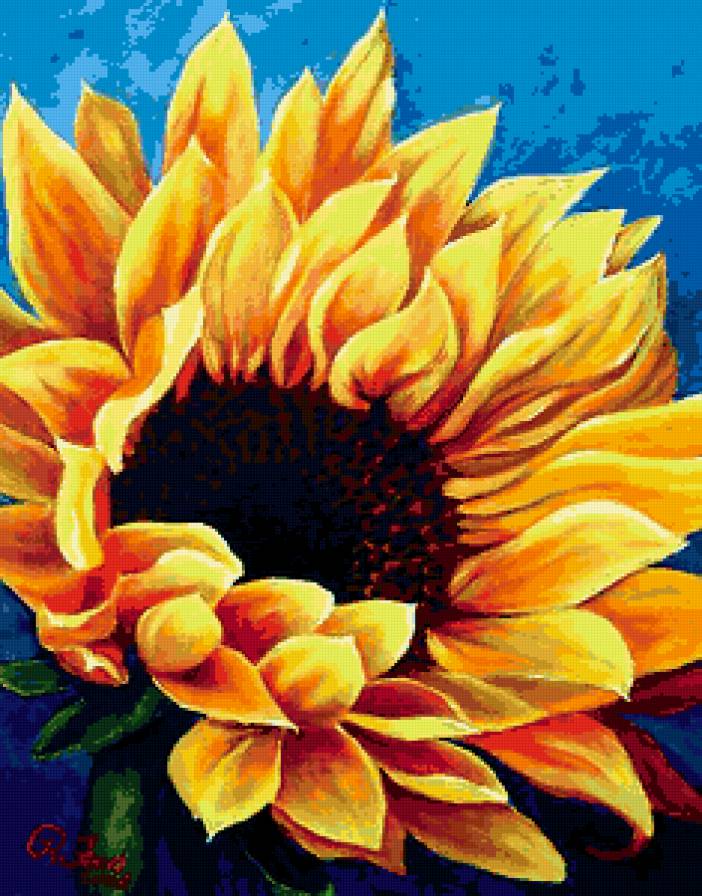 подсолнух - предпросмотр