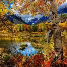 Схема вышивки «Берёзы»