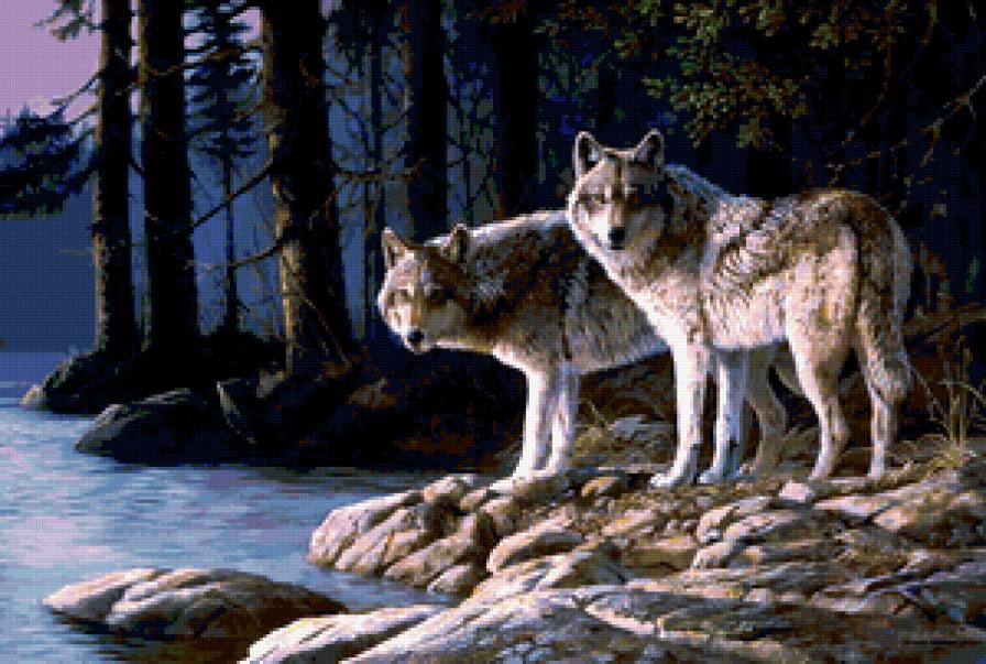 №262117 - волки.пара - предпросмотр