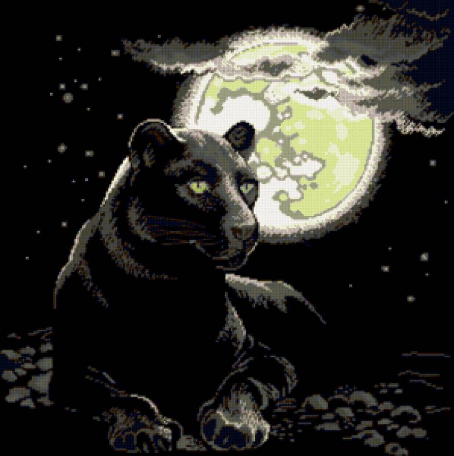 ПОЛНОЛУНИЕ - багира, луна, хищник, ночь, взгляд хищника - предпросмотр