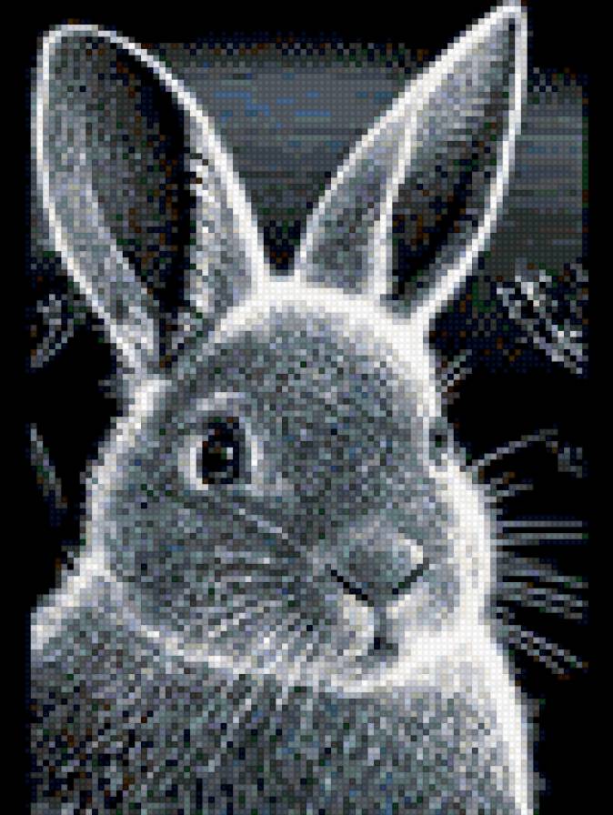 зaяц - животныe. - предпросмотр