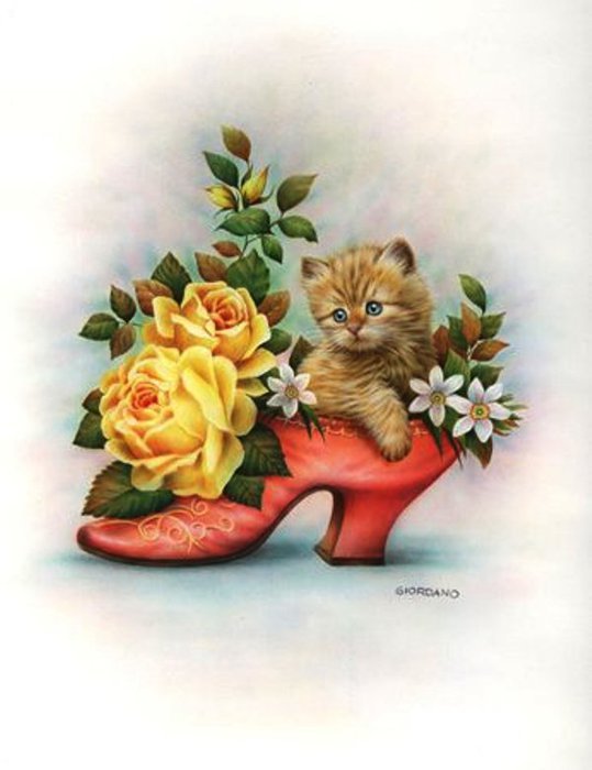 №262303 - котик - оригинал