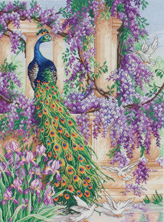 павлин - птицы - оригинал