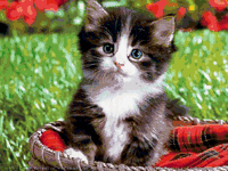 Котик - предпросмотр