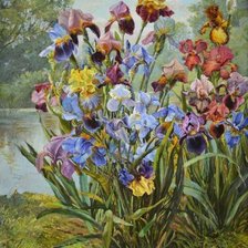 Схема вышивки «Ирисы»