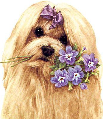 ДЛЯ ТЕБЯ - валентинка, милашка, симпотяшка, цветы, собачка - оригинал