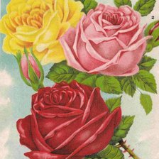 Схема вышивки «№262720»