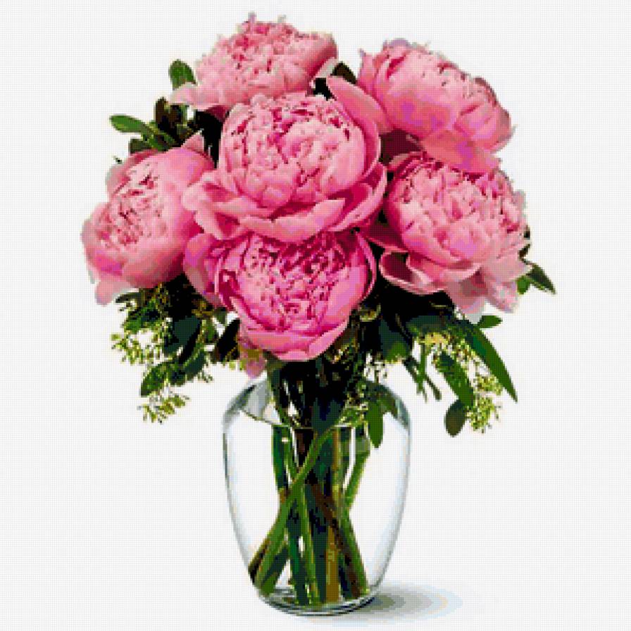 Пионы - букет, цветы, пионы - предпросмотр