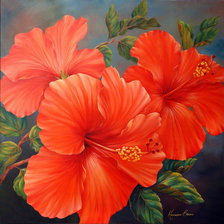 Схема вышивки «Гибискус»