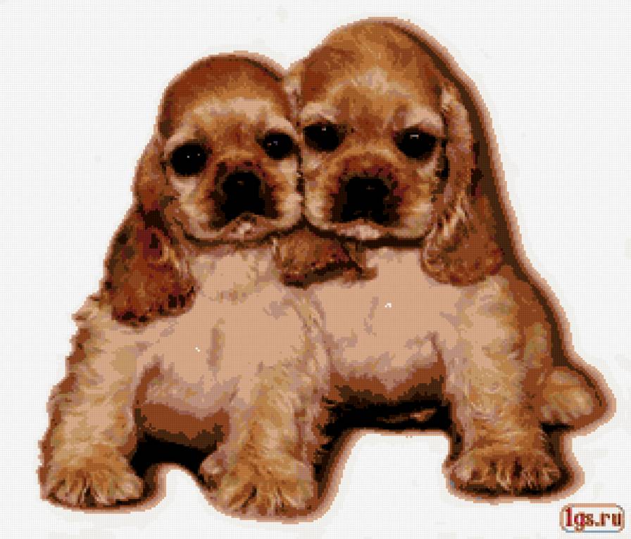 кокерешки - предпросмотр