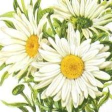 Схема вышивки «№262966»