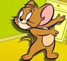 Схема вышивки «Джери»