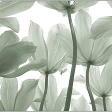 Схема вышивки «№263027»