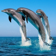 Схема вышивки «Кто выше»