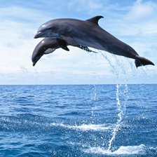 Схема вышивки «№263103»