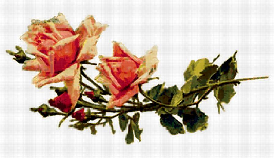 веточка розы - предпросмотр