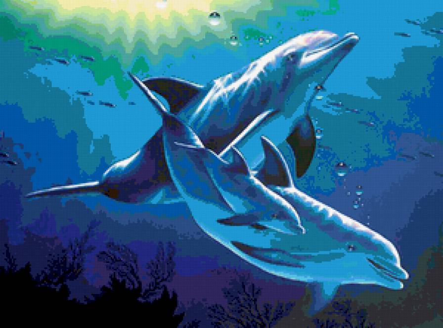 Семейство - дельфины, волны, пейзаж, море, солнце - предпросмотр