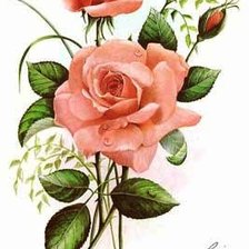 Схема вышивки «веточка розы»