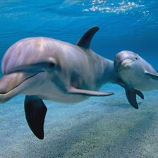 Схема вышивки «Мать и малыш»