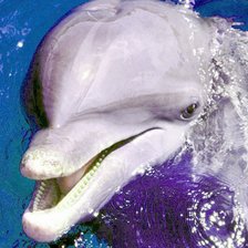 Схема вышивки «Кая я Вам»