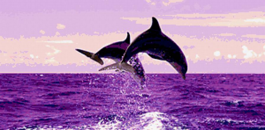 Вдвоём лучше - море, дельфины, волны, небо - предпросмотр