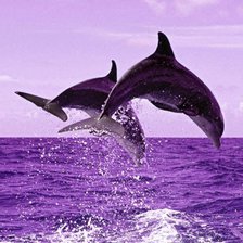 Схема вышивки «Вдвоём лучше»