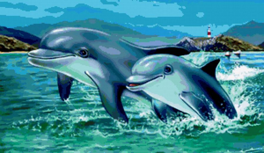 Вместе на века - небо, дружба, картина, волны, дельфины, любовь, море - предпросмотр