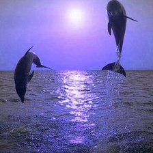 Схема вышивки «Наперегонки»