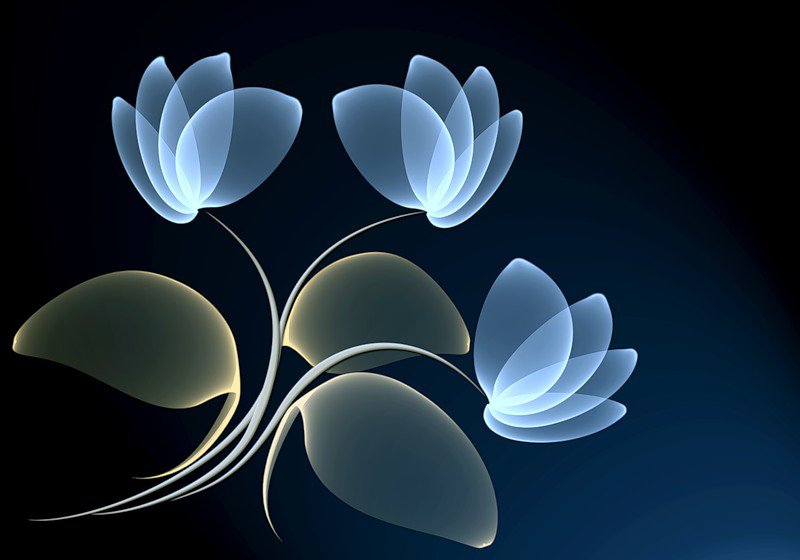 №263280 - оригинал