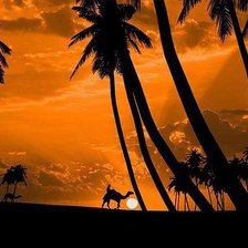 Схема вышивки «верблюды»