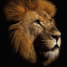 Схема вышивки «лев»