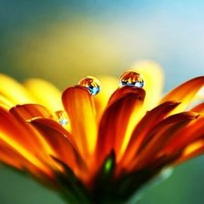 Схема вышивки «цветок»