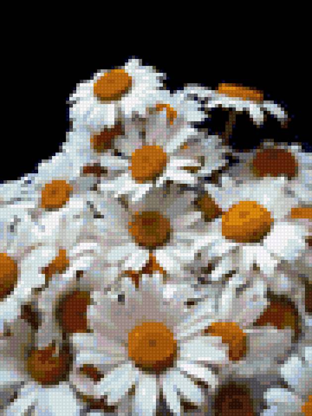 ромaшки - цвeты, букeты. - предпросмотр