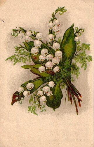 ландыши - оригинал