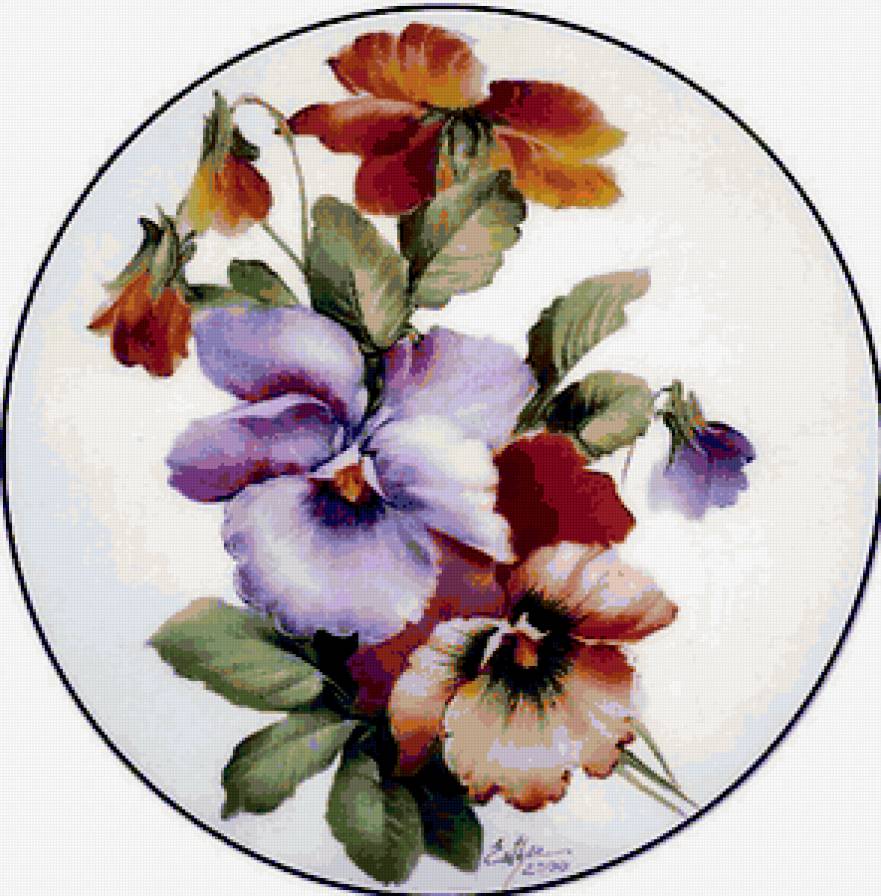 анютины глазки - предпросмотр