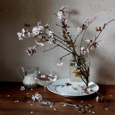 Схема вышивки «натюрморт»