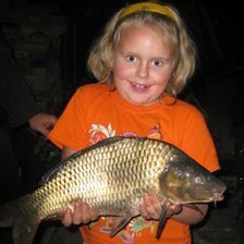 Схема вышивки «рыбка»