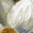 Предпросмотр схемы вышивки «нарциссы» (№263622)