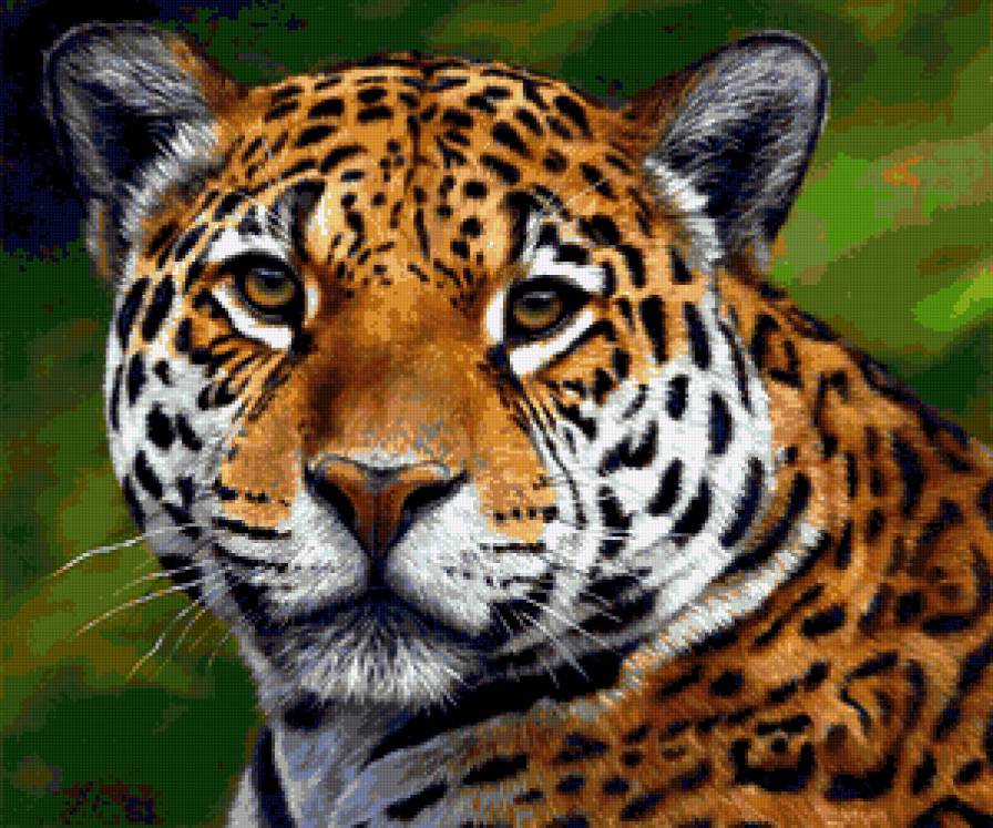 ягуар - животные - предпросмотр