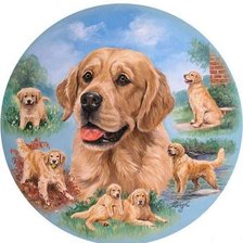 Схема вышивки «собачий вальс»