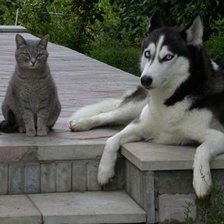 Схема вышивки «Дружба»