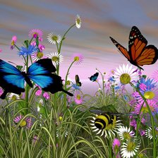 Схема вышивки «Бабочки»