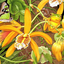 Схема вышивки «Орхидея»