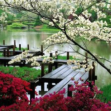 Схема вышивки «парк»