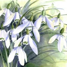 Схема вышивки «подснежники»