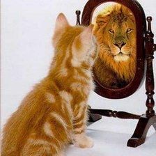 Схема вышивки «№264128»