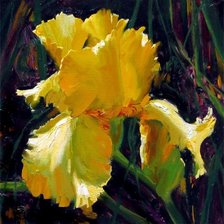 Схема вышивки «желтый ирис»